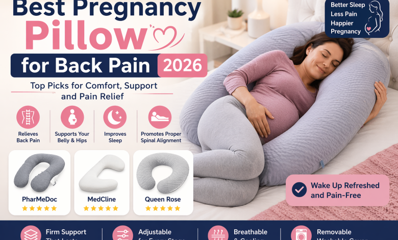 best pregnancy pillow for back pain